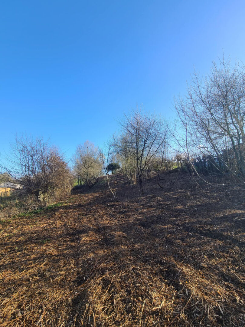 Photo TERRAIN - POURU ST REMY image 2/3