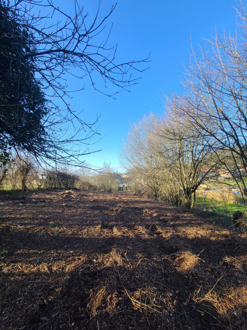 Photo TERRAIN - POURU ST REMY image 3/3