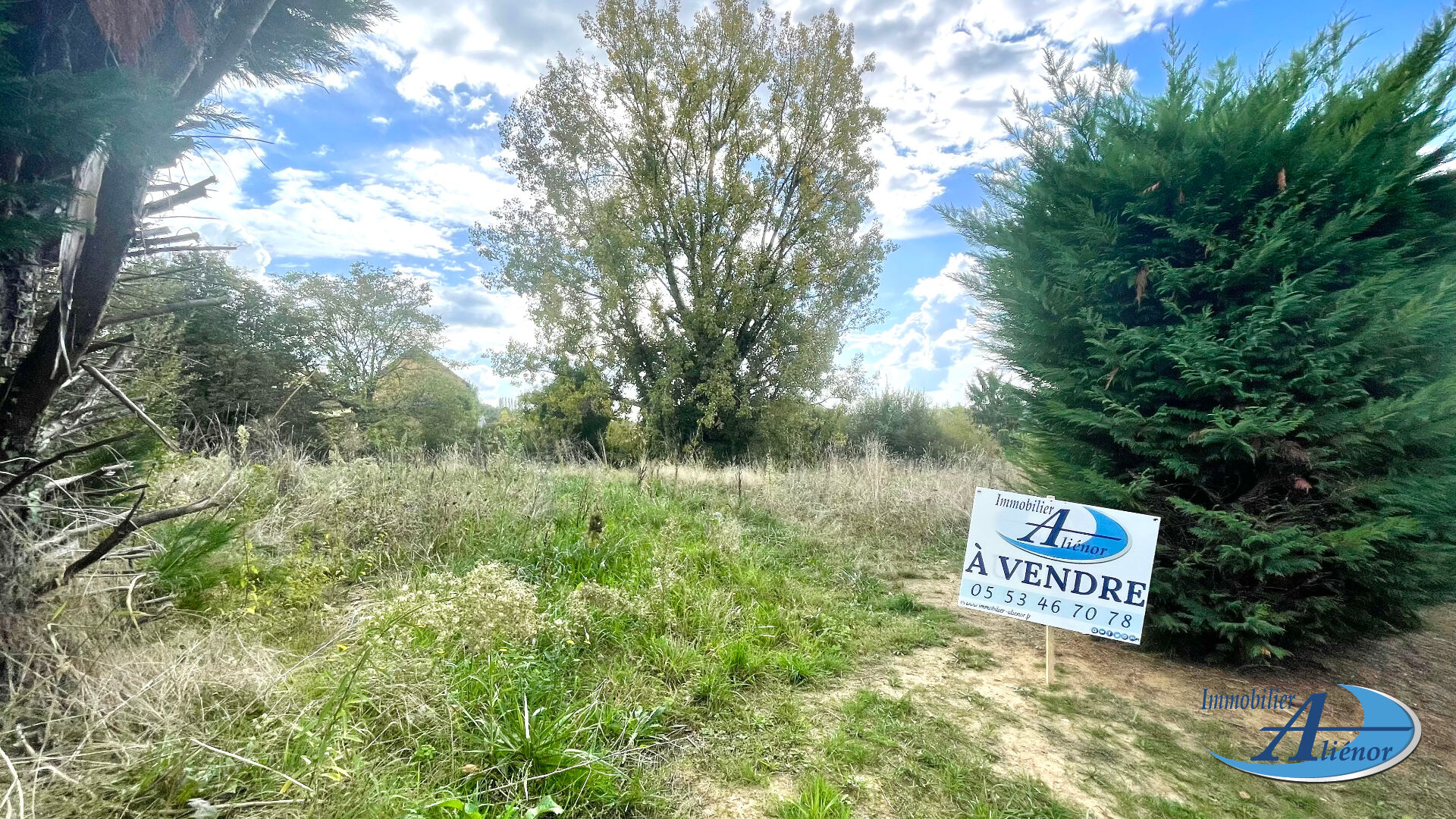 Agence immobilière de Alienor Immobilier - Aliénor Immobilier - Trélissac