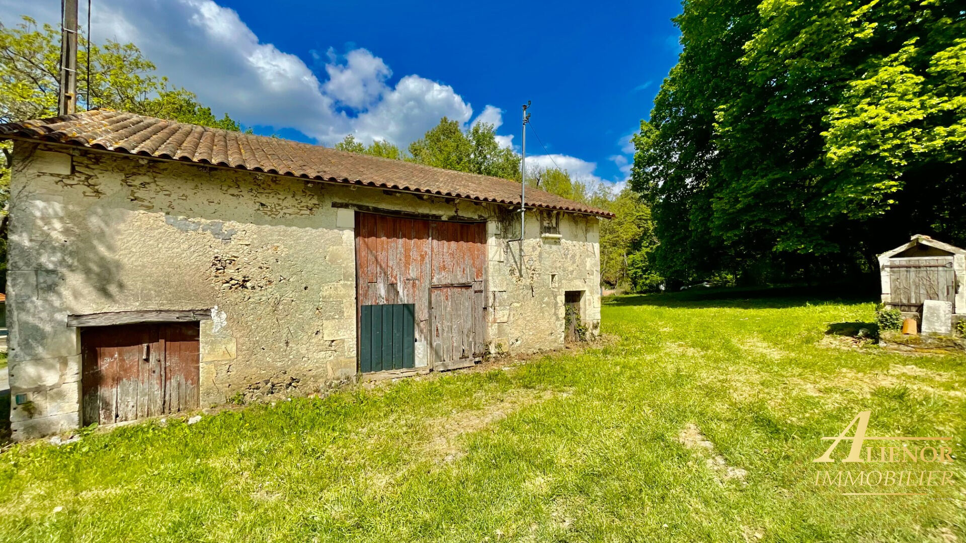 Agence immobilière de Alienor Immobilier - Aliénor Immobilier - Trélissac