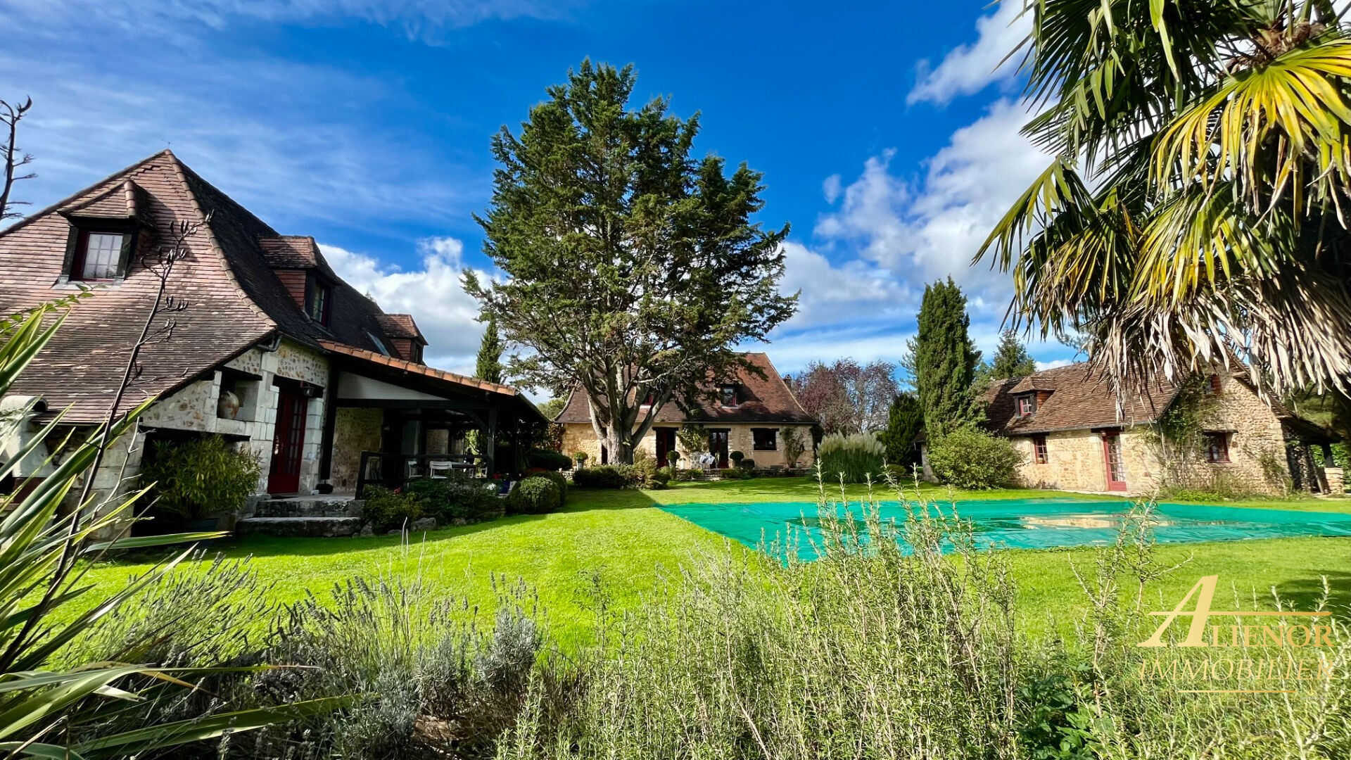 Agence immobilière de Alienor Immobilier - Aliénor Immobilier - Trélissac