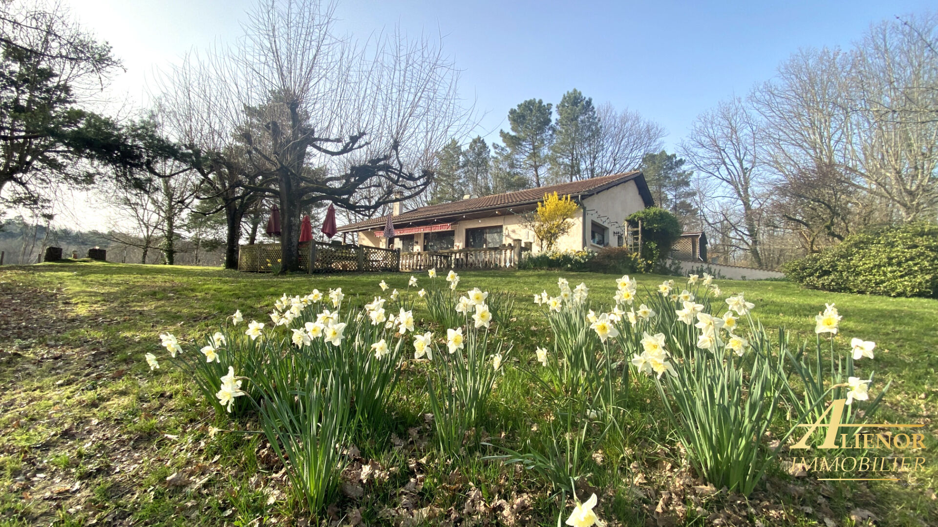 Agence immobilière de Alienor Immobilier - Aliénor Immobilier - Brantôme