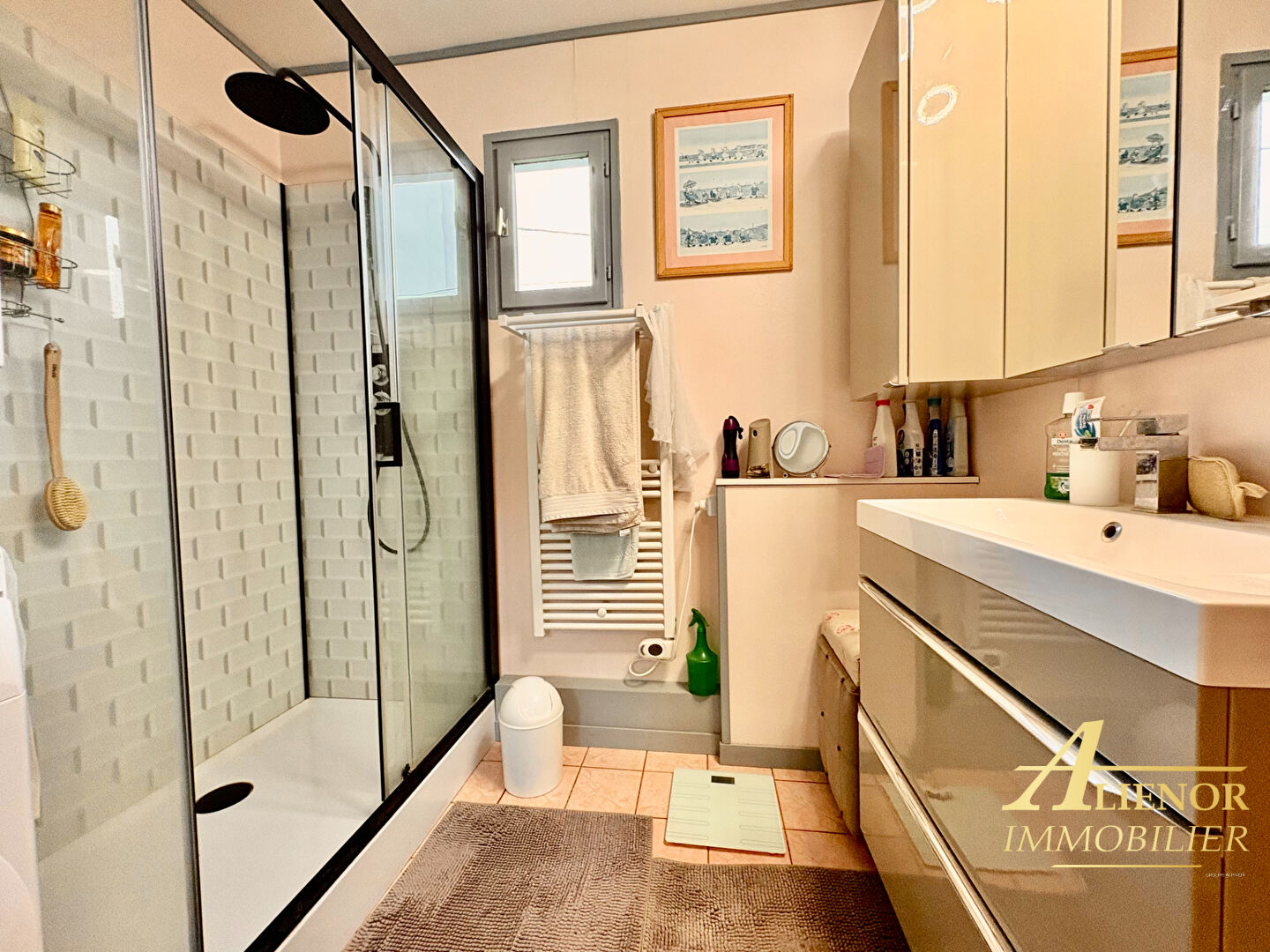 Photo PLAIN-PIED : Saint-Astier image 3/6