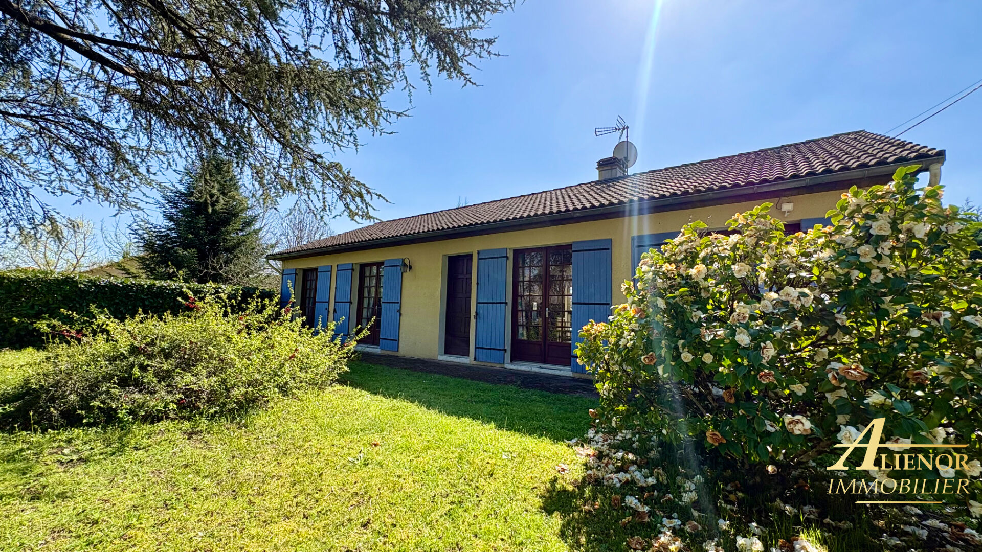 Agence immobilière de Alienor Immobilier - Aliénor Immobilier - Trélissac