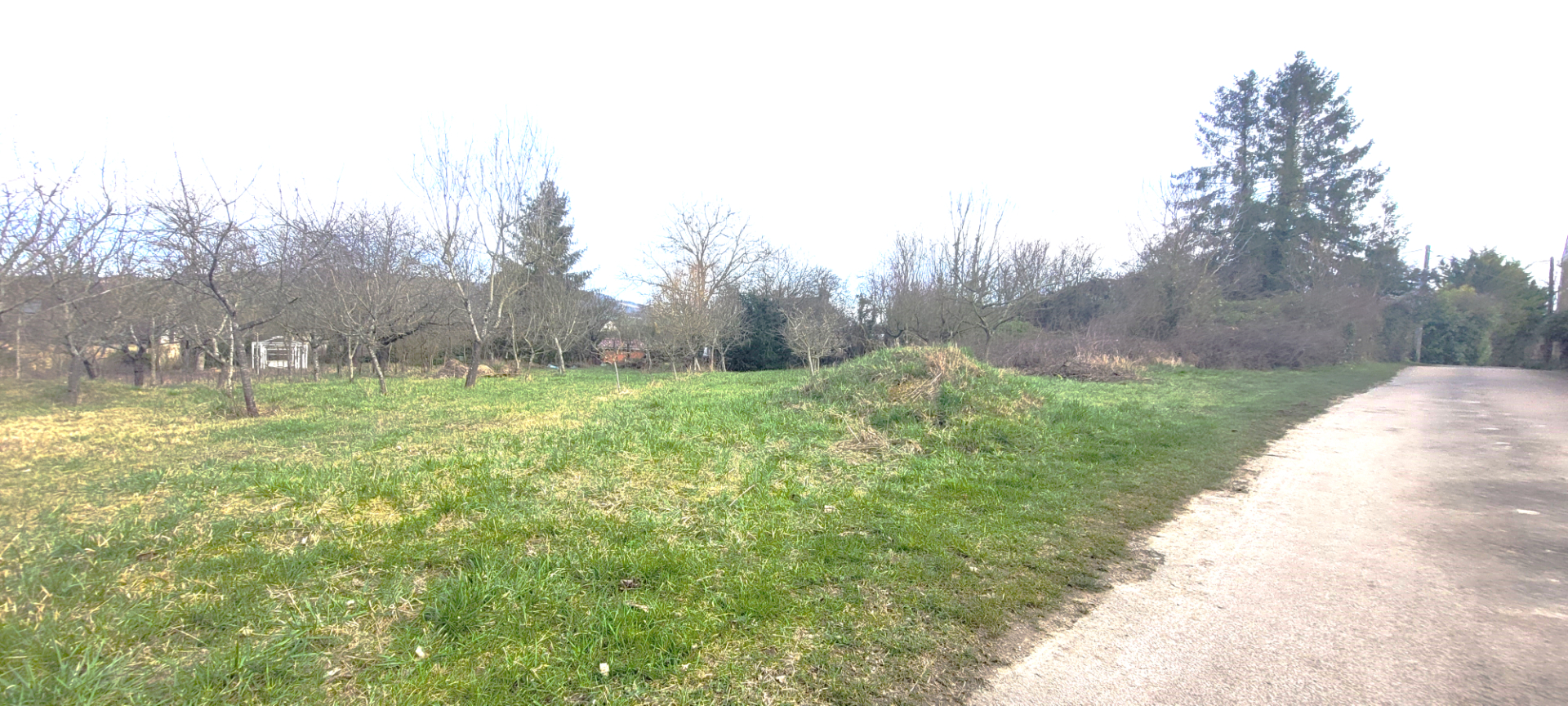 Photo Terrain Sur Champvallon 1550 m2, à proximité des villes Auxerre, Joigny, Migennes et Aillant image 1/1