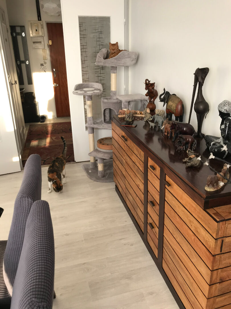 Photo Appartement sur Migennes 3 pièce(s) de 80.5 m2 habitable, 2 chambres image 2/5