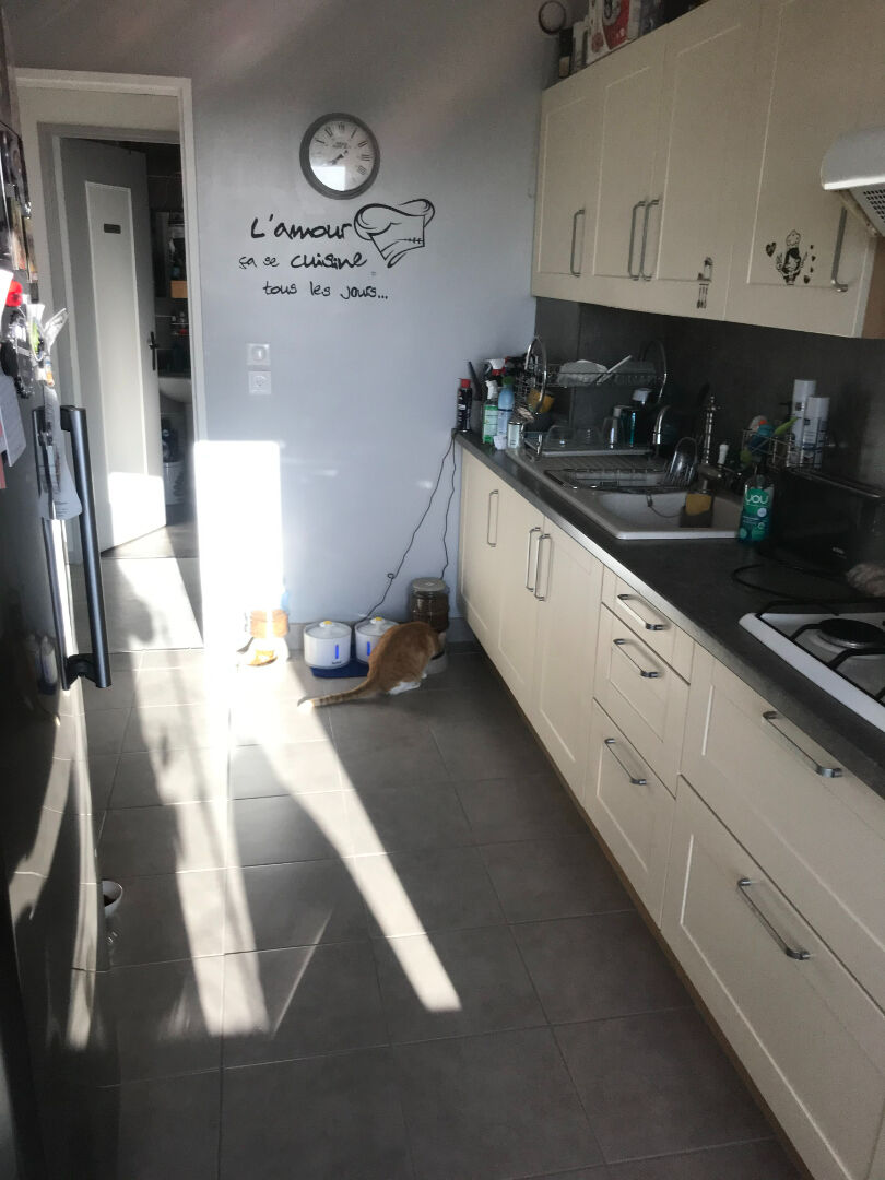 Photo Appartement sur Migennes 3 pièce(s) de 80.5 m2 habitable, 2 chambres image 5/5