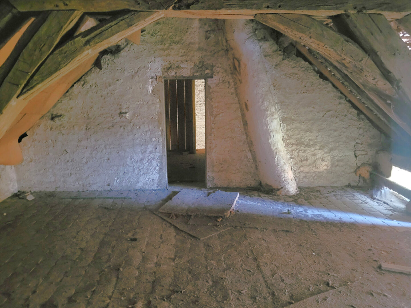 Photo Ensemble de 2 maisons à Montholon sur jardin de 540m², de 31m² et 55m² soit 86m² habitable image 4/6