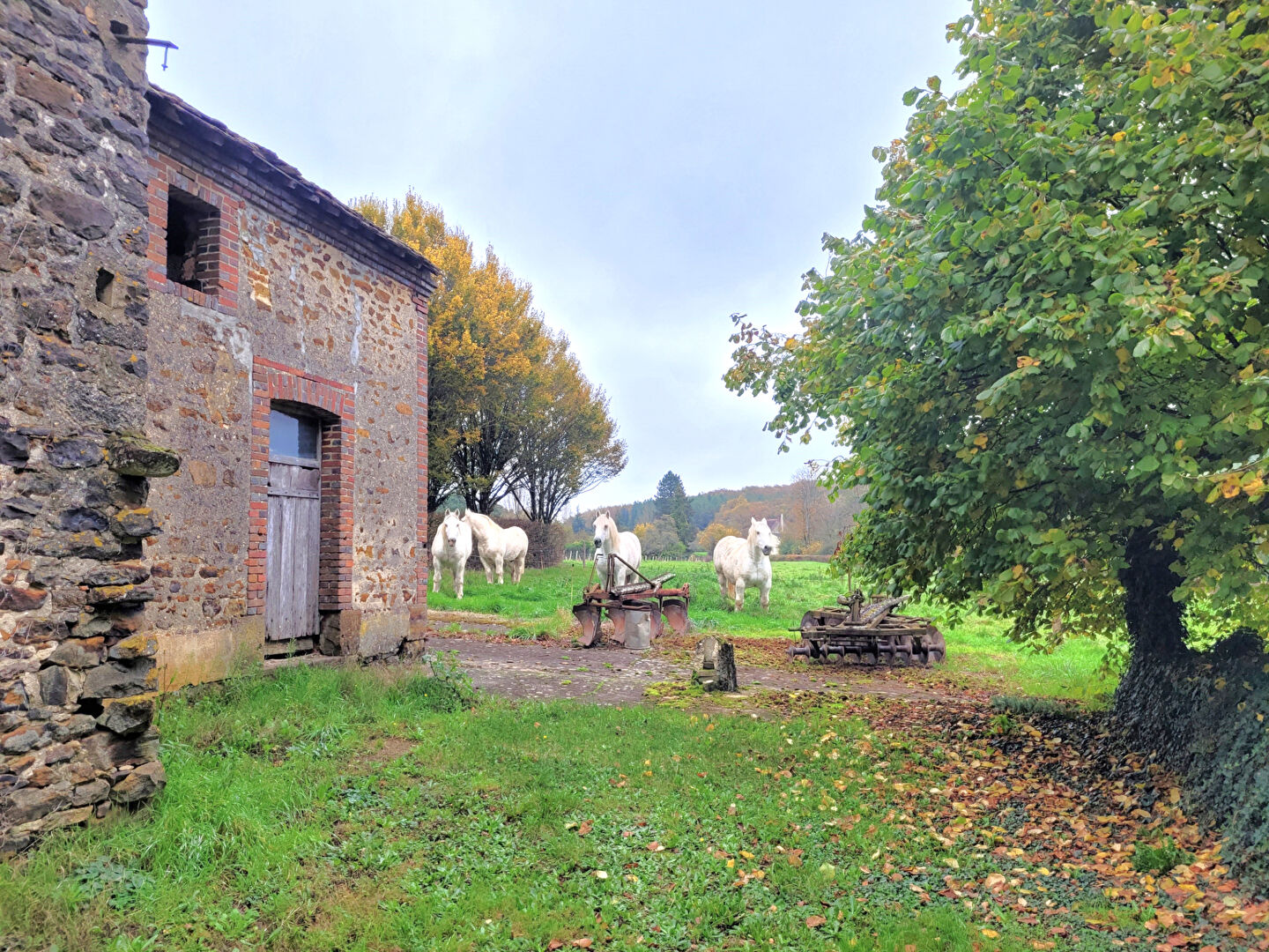 Photo Ferme et dépendances sur la commune de Diges à 5 minutes de Toucy sur 20 hectares de terrains et forêt image 2/6