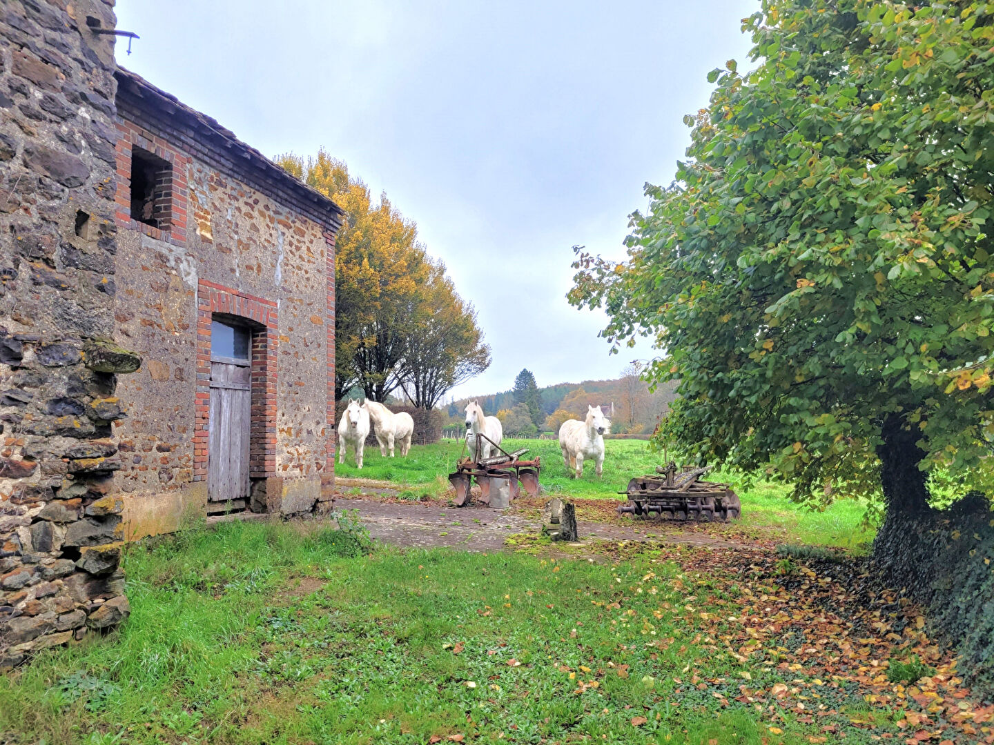 Photo Ferme et dépendances à 5 minutes de TOUCY sur 5.5 hectares de terrains et forêt image 1/6