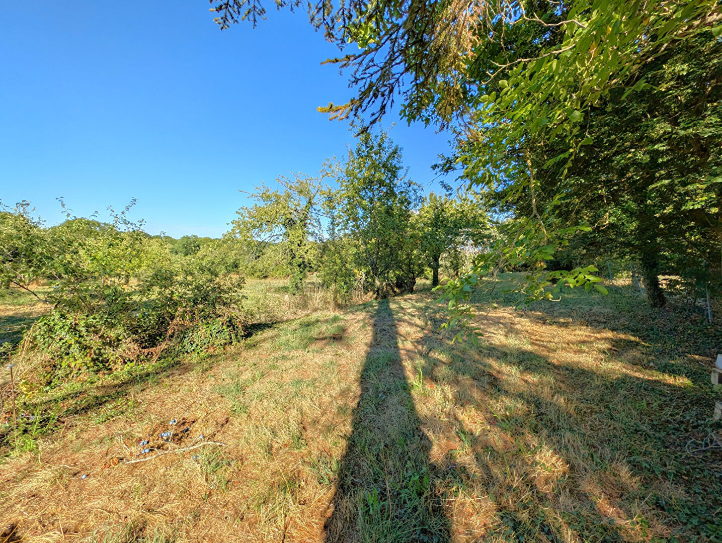 Photo Maison ancienne sans travaux sur le secteur de Pourrain entre Auxerre et Toucy de 90m² habitable et son jardin de 770m² image 2/6