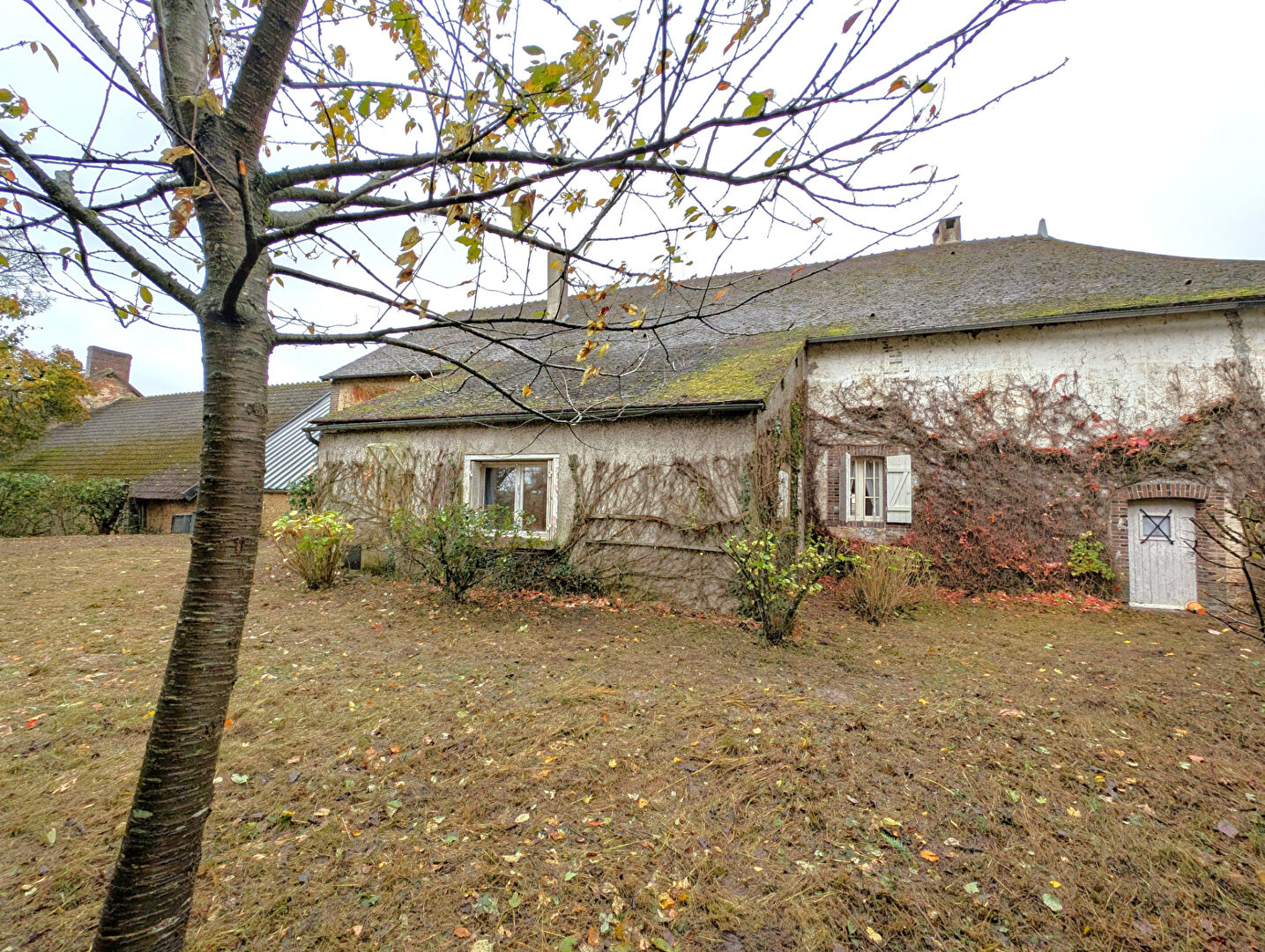 Photo Maison ancienne sur La Ferte Loupiere proche sortie autoroute, environnement calme image 3/6