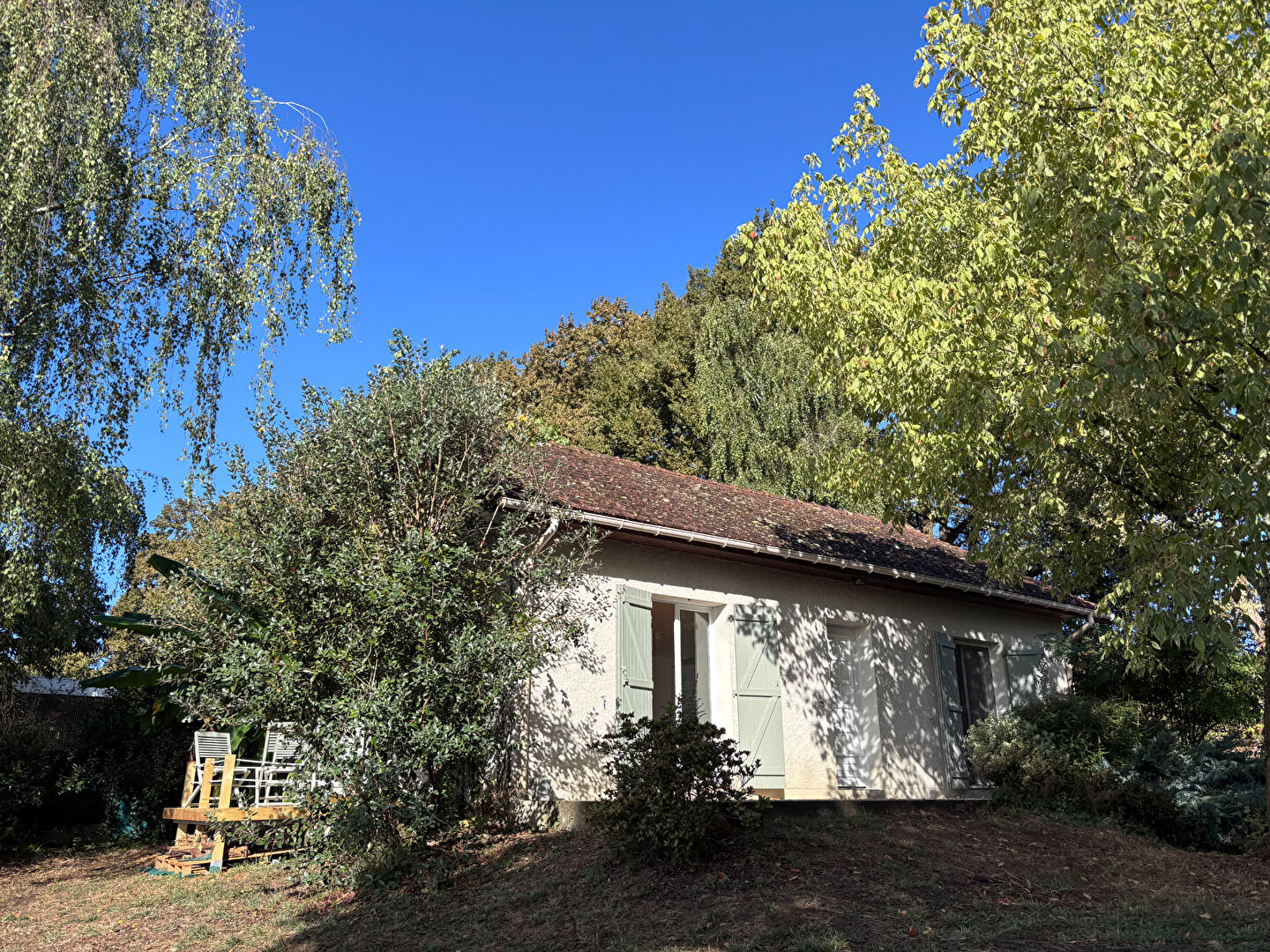 Agence immobilière de AMAYA TRANSACTIONS Pau - AMAYA GESTION