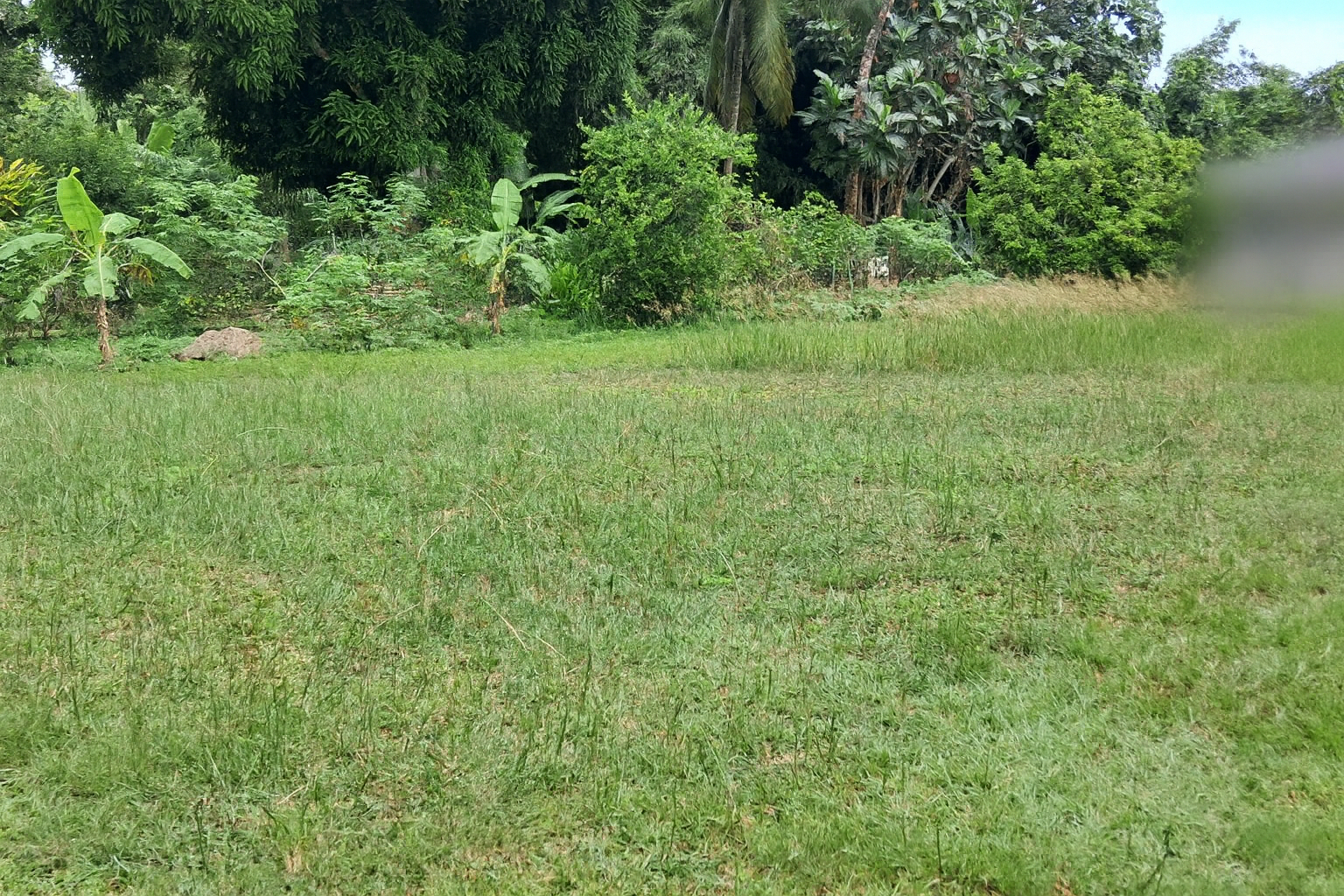 Photo Beau terrain constructible à Bel-Air Desrozières image 2/3