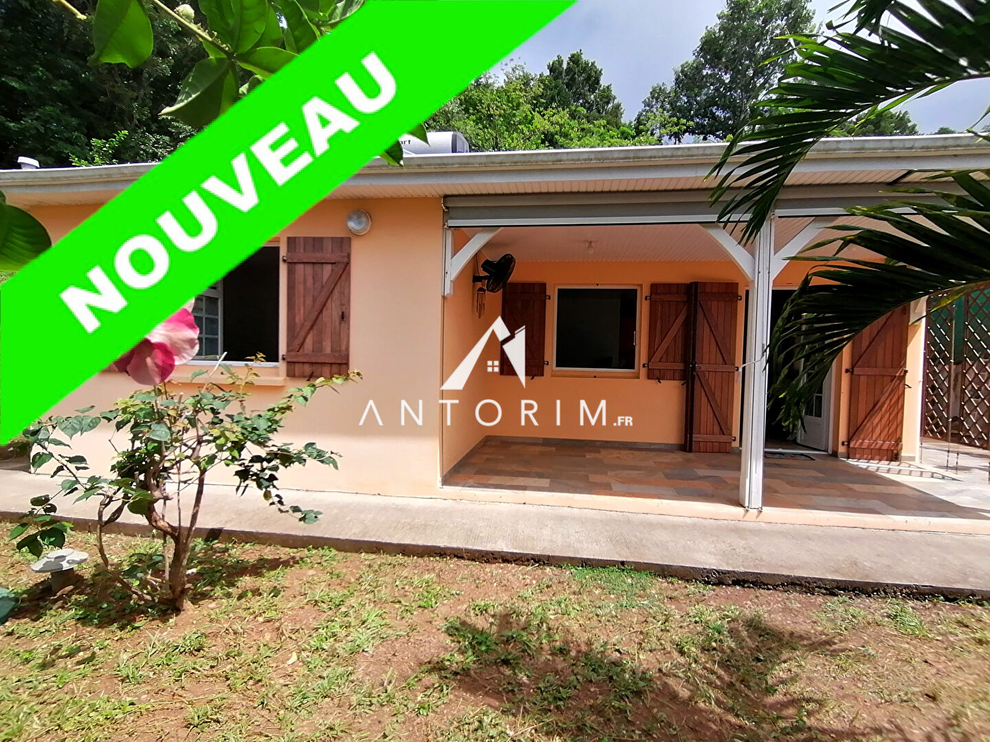 Agence immobilière de Antorim