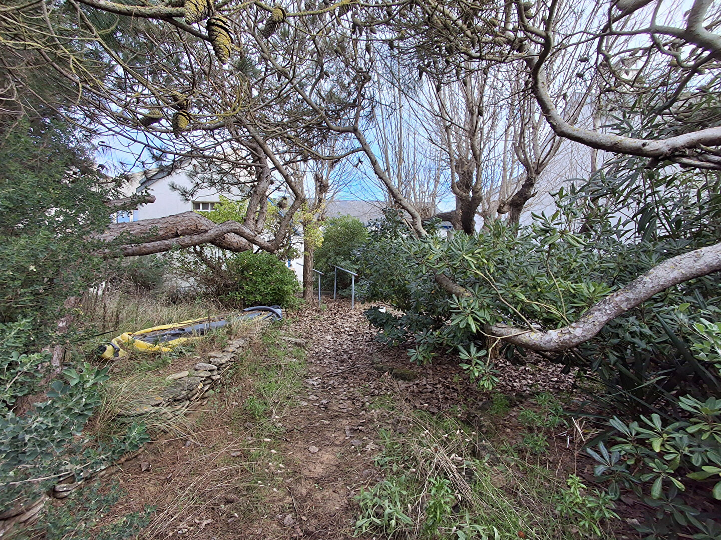 Photo Maison Châtelaillon-Plage image 5/6