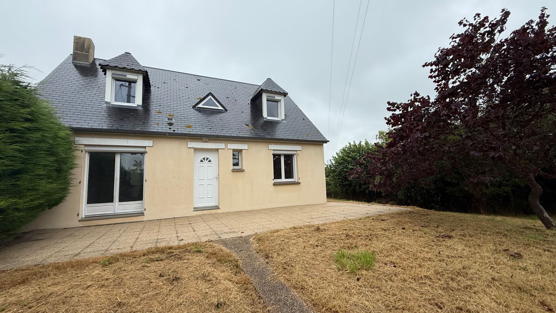 Agence immobilière de AP IMMO des Marais Carentan les marais - AP'IMMO DES MARAIS