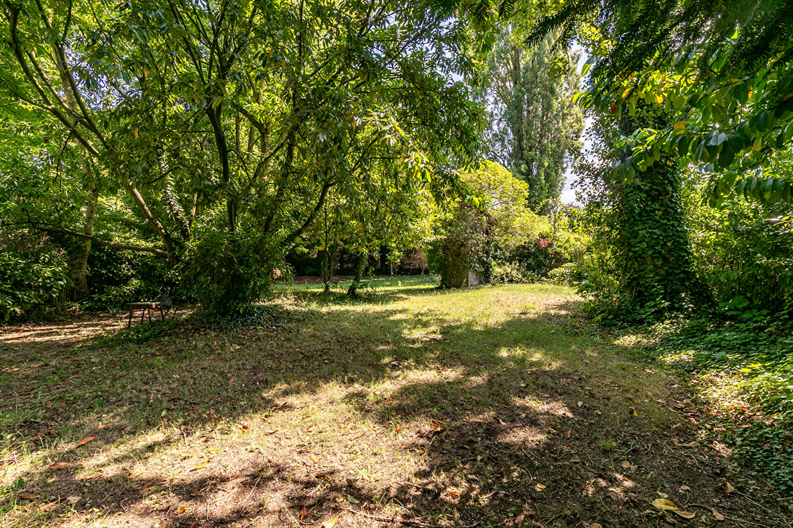 Photo Terrain de 1450m² plat et joliment arboré image 2/3