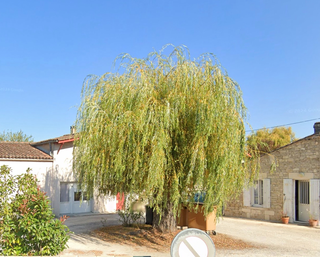Agence immobilière de ARROW IMMOBILIER
