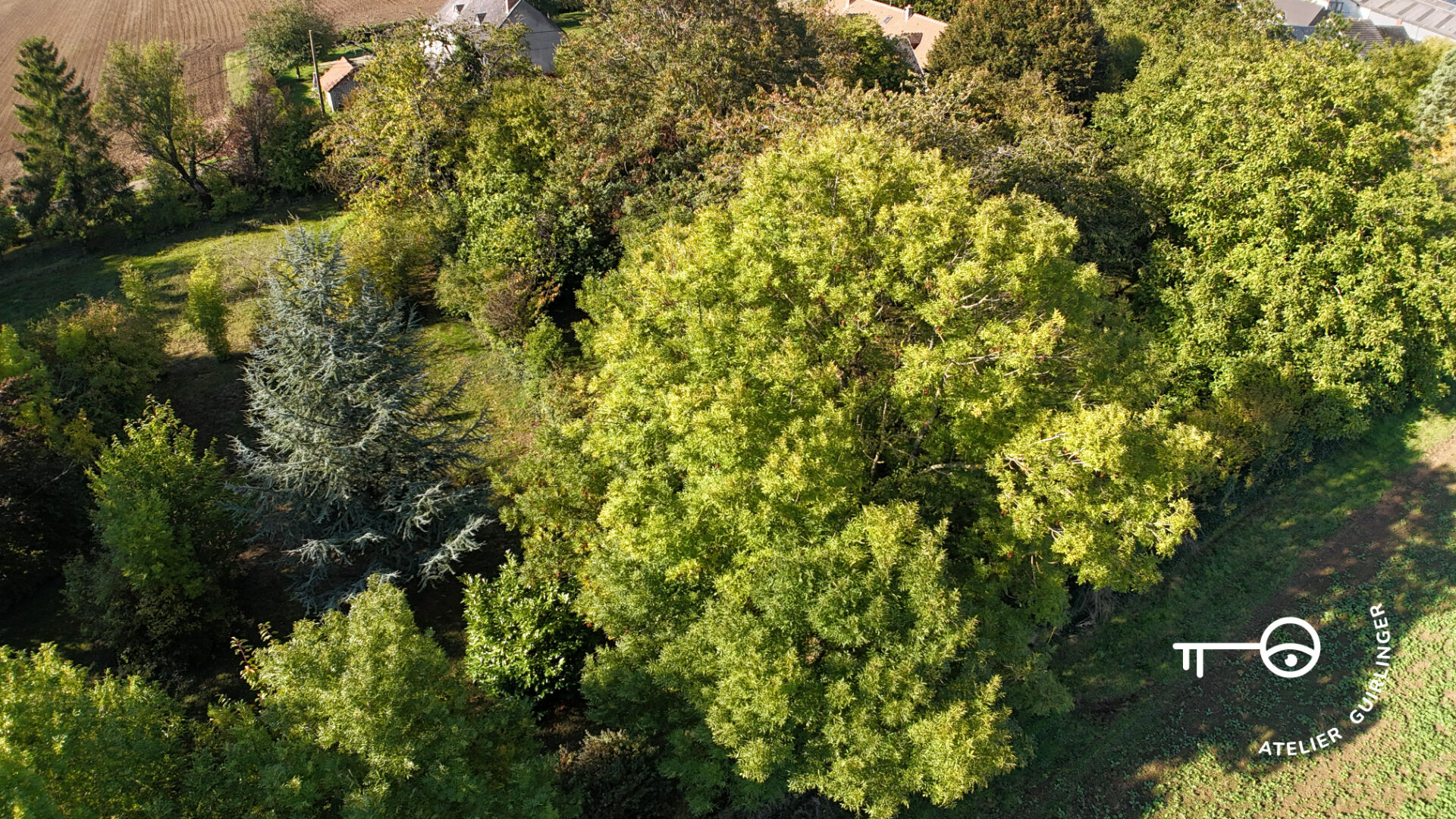 Agence immobilière de Atelier Guirlinger