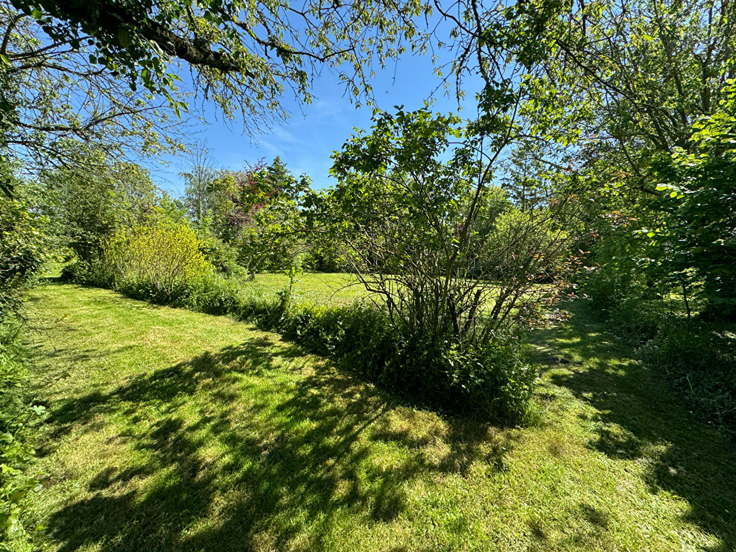 Agence immobilière de Atelier Guirlinger