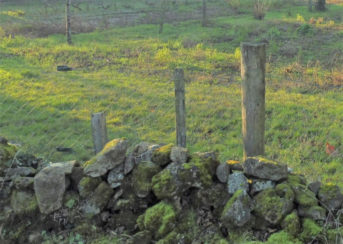 A Fressines, terrain libre de constructeur, 800 m2