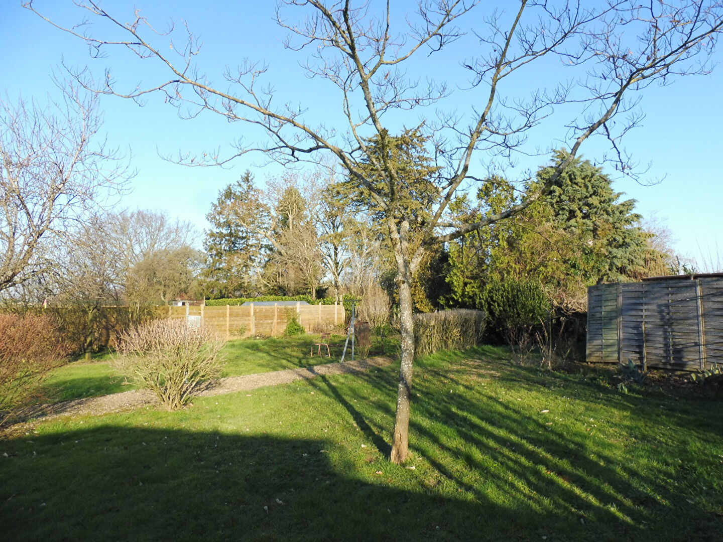 Photo Terrain Vouillé 677 m2 image 4/6