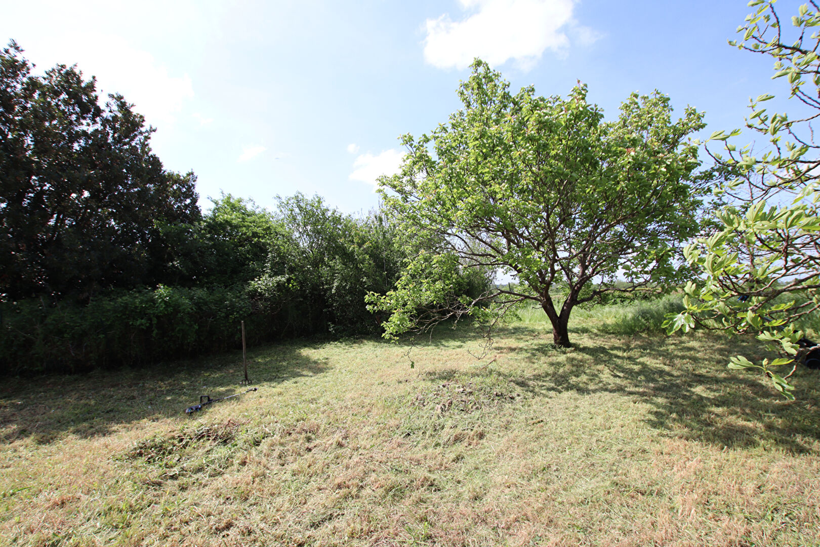 Photo Maison  5 chambres avec dépendances et grand terrain à Coulonges Sur L'Autize image 2/6