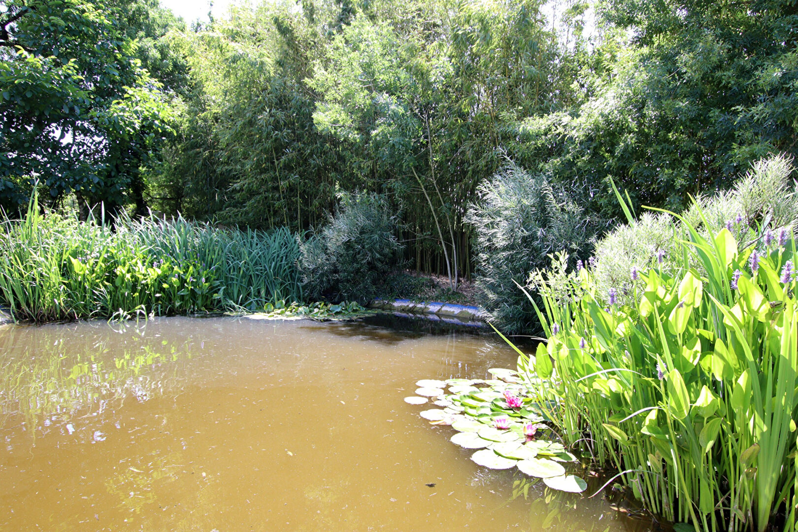 Photo Belle maison de plain-pied de 192 m2 hab image 5/6