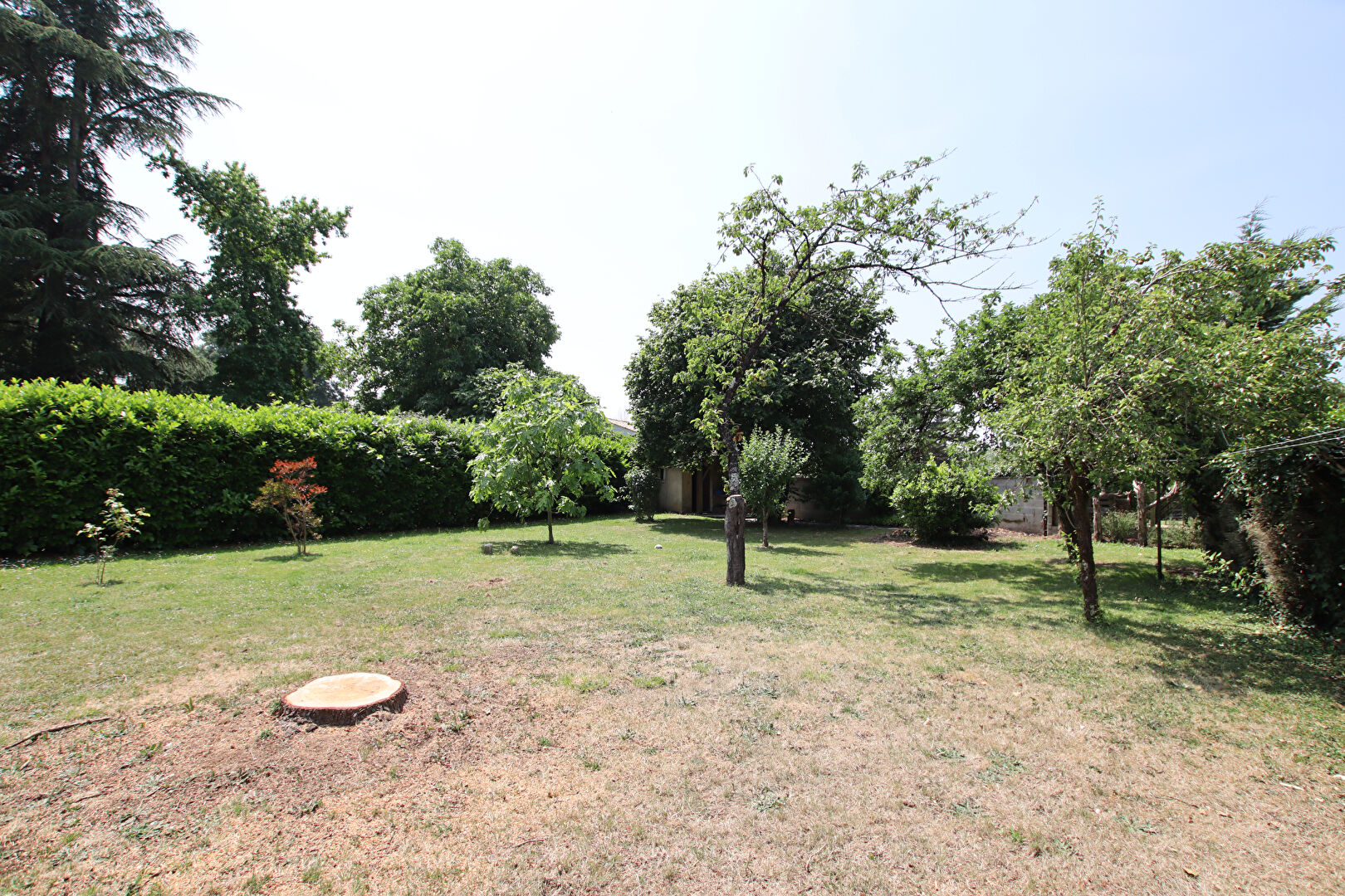Photo Terrain Chauray 526 m2 image 2/6