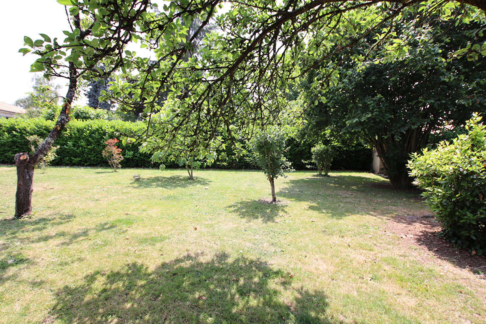 Photo Terrain Chauray 526 m2 image 3/6