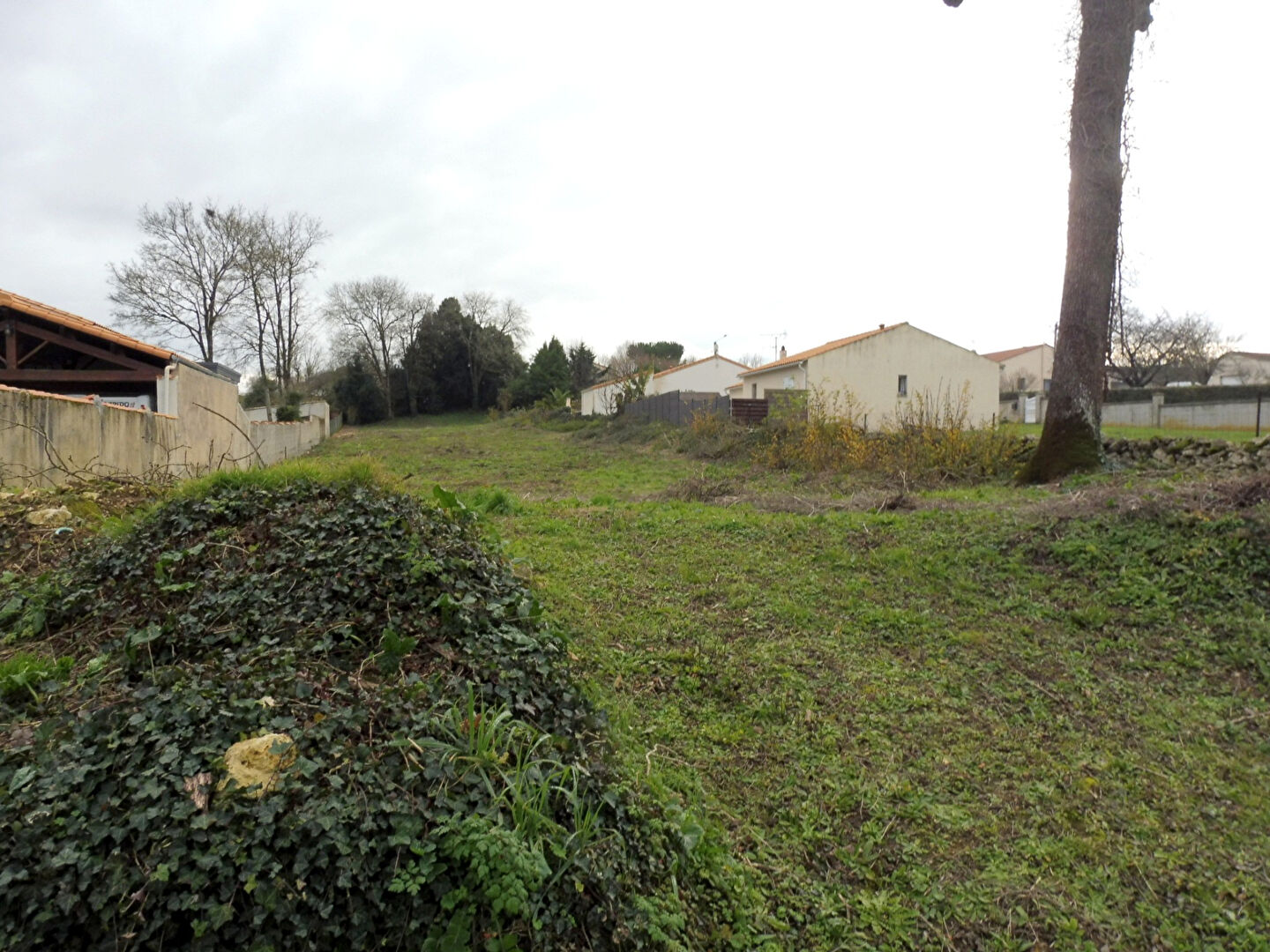 Photo Terrain à bâtir 2270 m2, centre bourg de VOUILLE image 3/3
