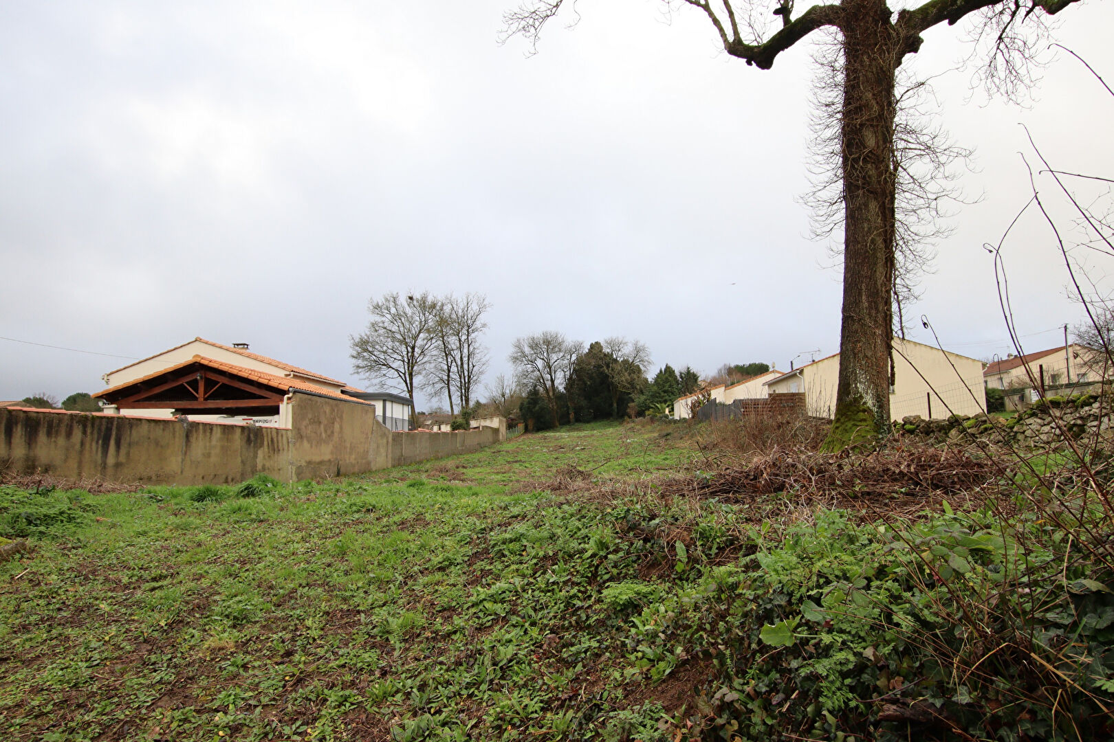 Photo Terrain à bâtir 660 m2, centre bourg de VOUILLE image 2/3