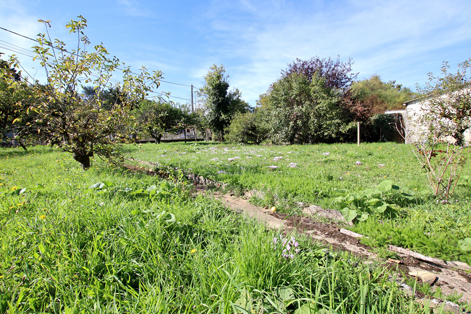 Photo Maison Azay Le Brule 6 pièce(s) 134 m2 image 4/6