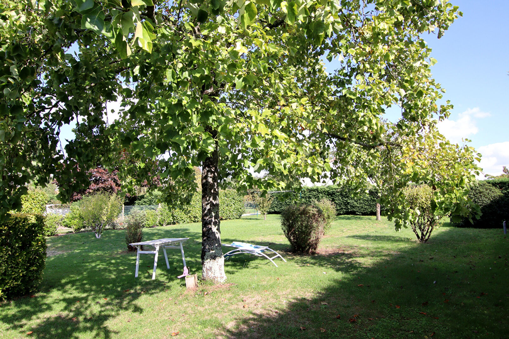 Photo Joli Pavillon 3 chambres sur sous-sol total image 4/6