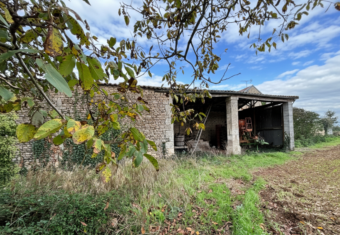 Photo Maison en pierre à Vouillé 109 m2 image 4/6