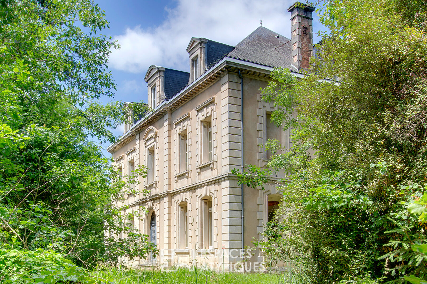 Château historique avec son parc arboré au coeur de la ville