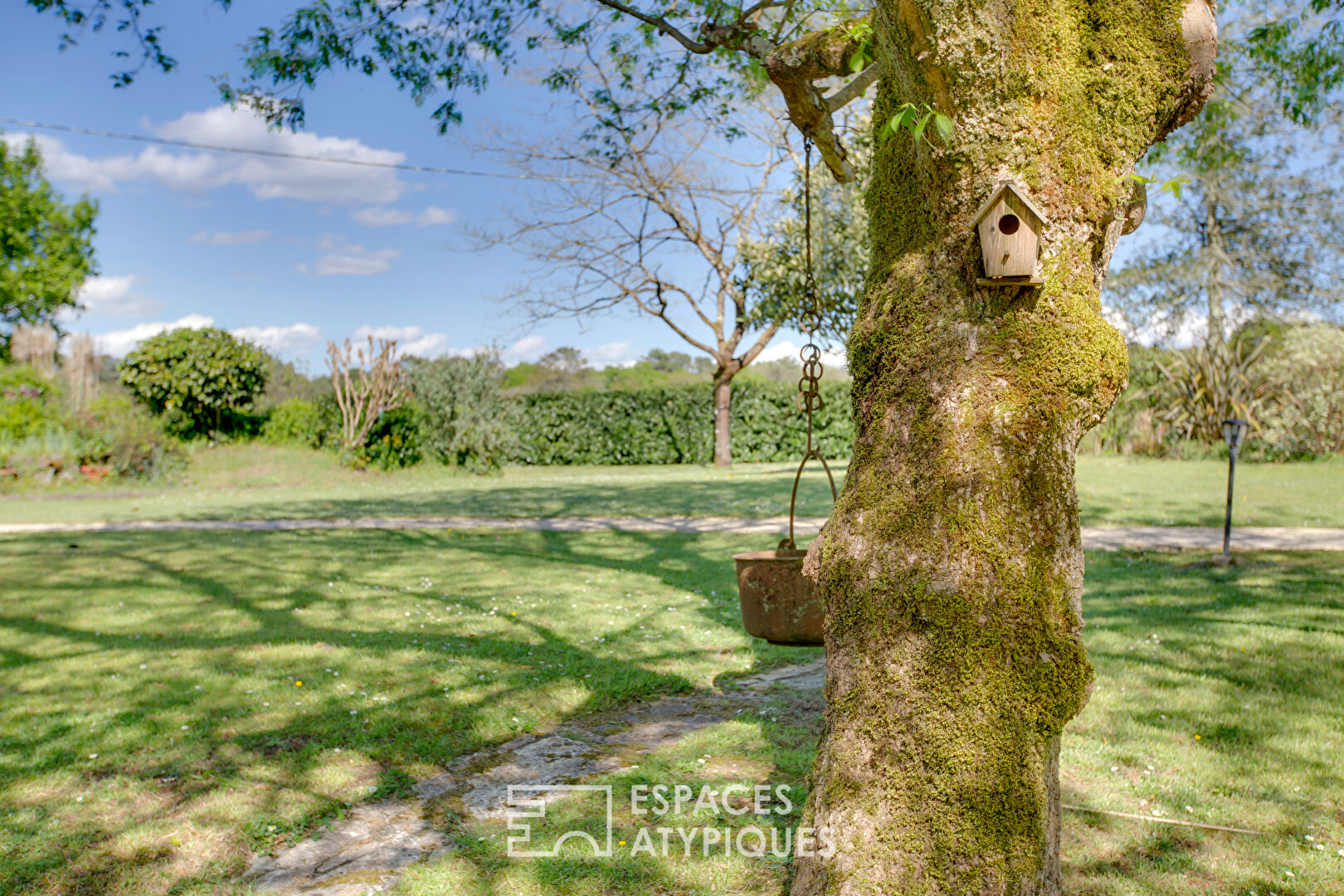 Photo Propriété landaise de caractère au coeur de la nature image 4/6