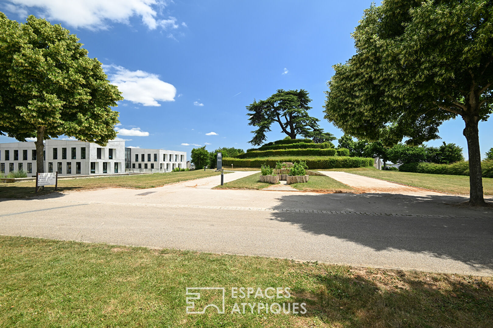 Photo Appartement rénové à quelques pas de l'université et du parc d'Ornano image 5/6