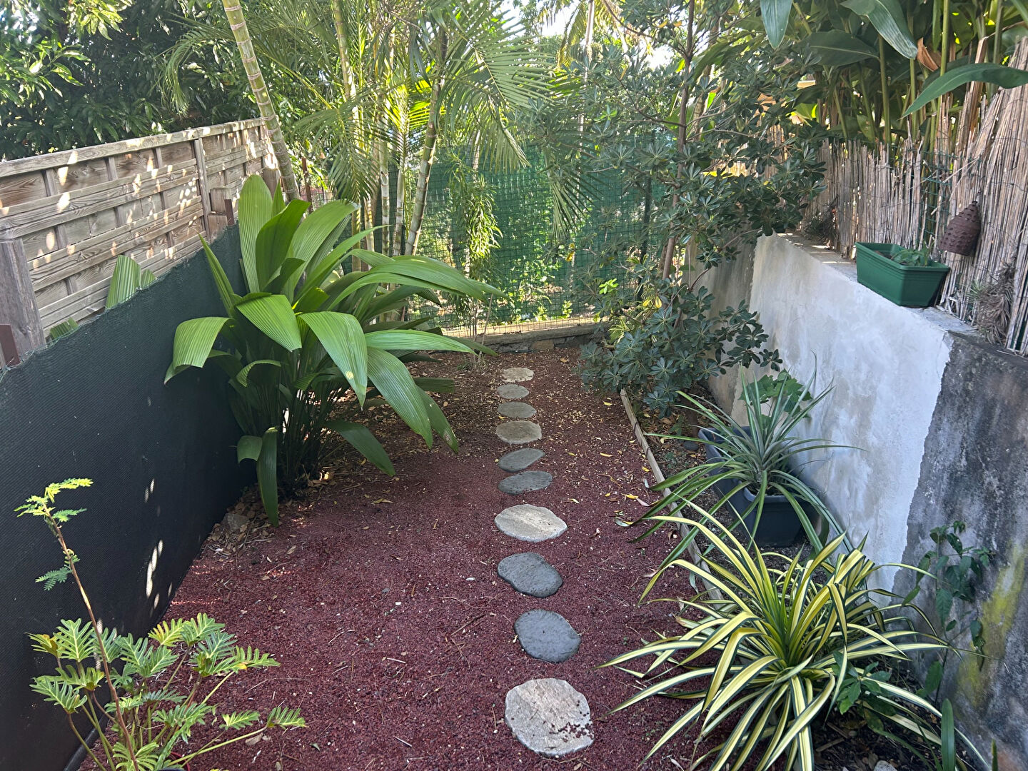 Appartement T2 Meublé avec jardin   - Piton St Leu