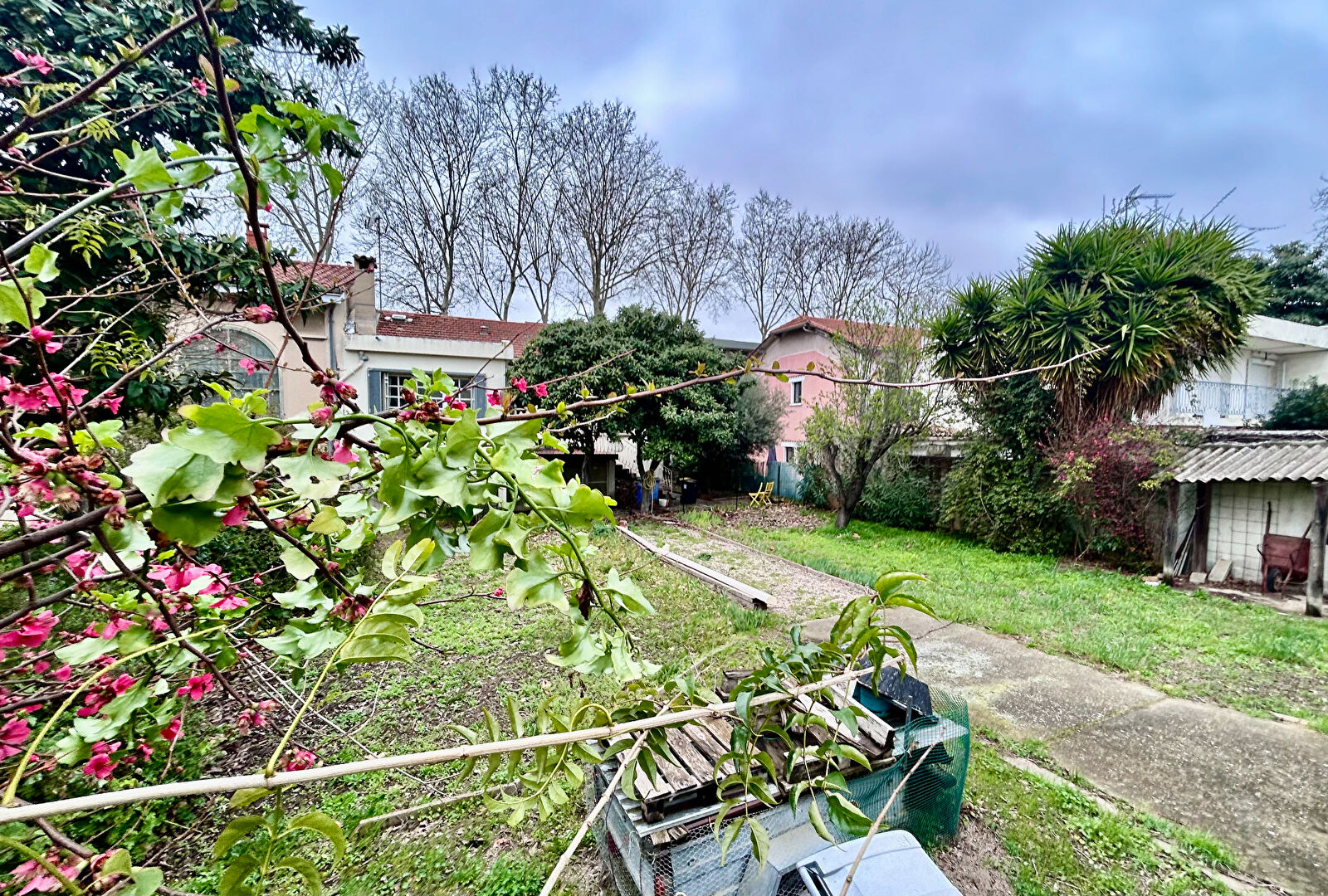 Agence immobilière de AVENIR IMMOBILIER Montpellier