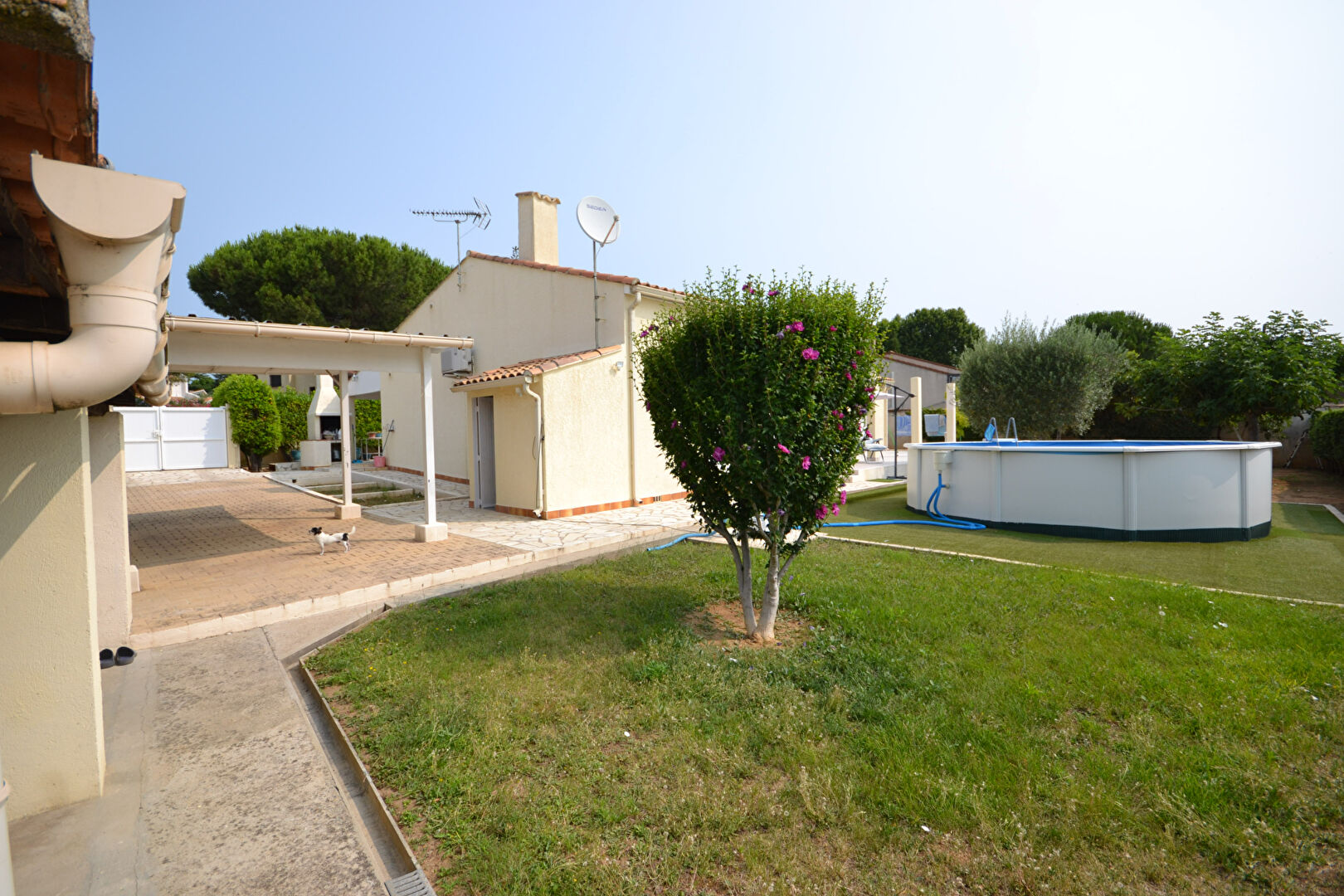 Agence immobilière de AVENIR IMMOBILIER Montpellier