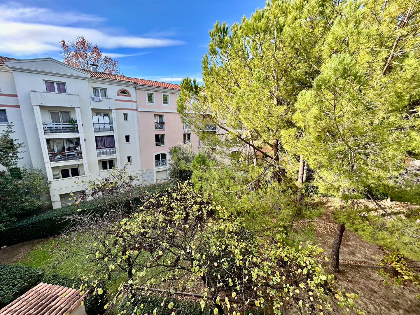 Photo Appartement Montpellier 1 pièce(s) 22 m2 image 5/6