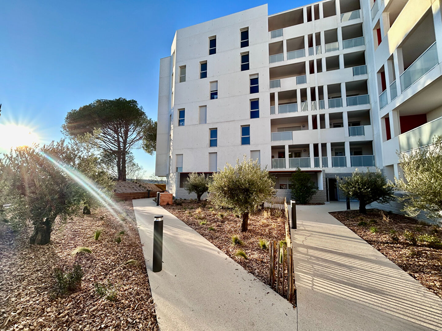 Agence immobilière de AVENIR IMMOBILIER Montpellier