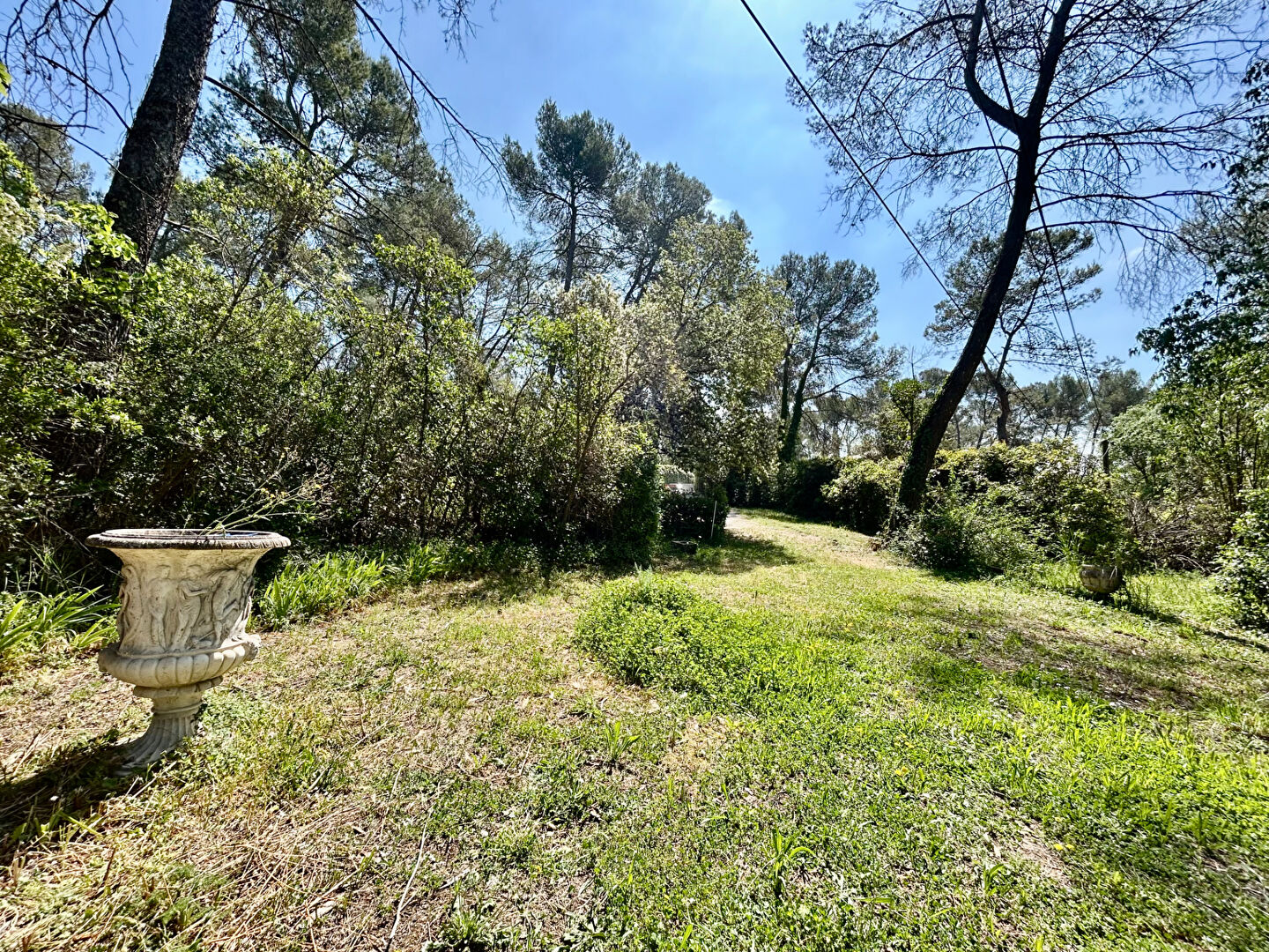 Agence immobilière de AVENIR IMMOBILIER Montpellier
