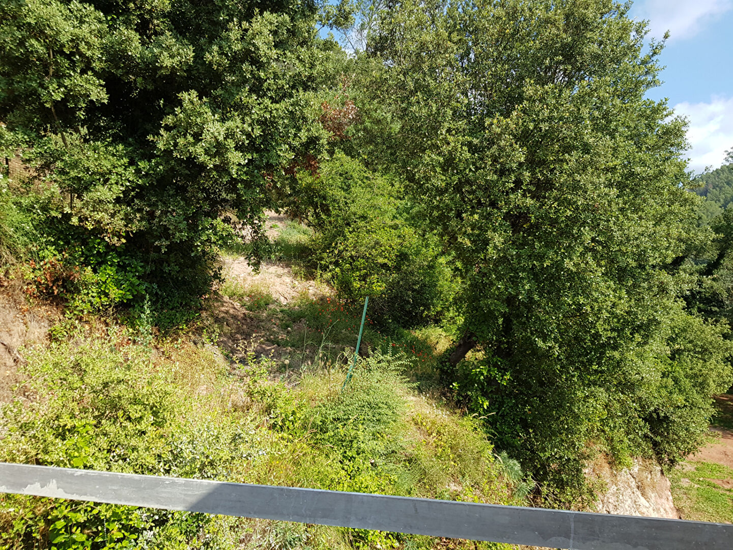 Photo Appartement Duplex Gonfaron 2 pièce(s) 31 m2 image 6/6