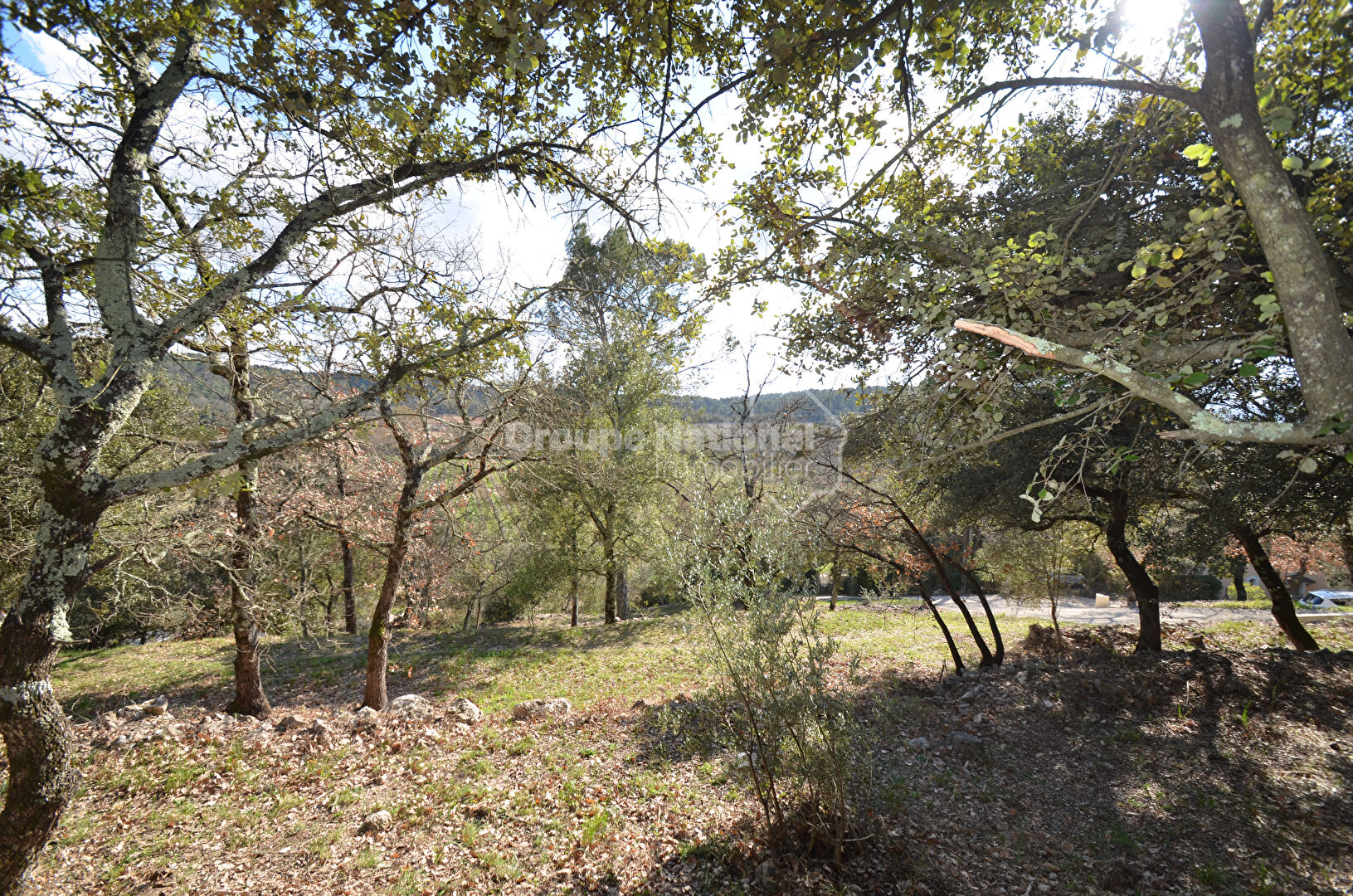 Agence immobilière de Baubaut Immobilier