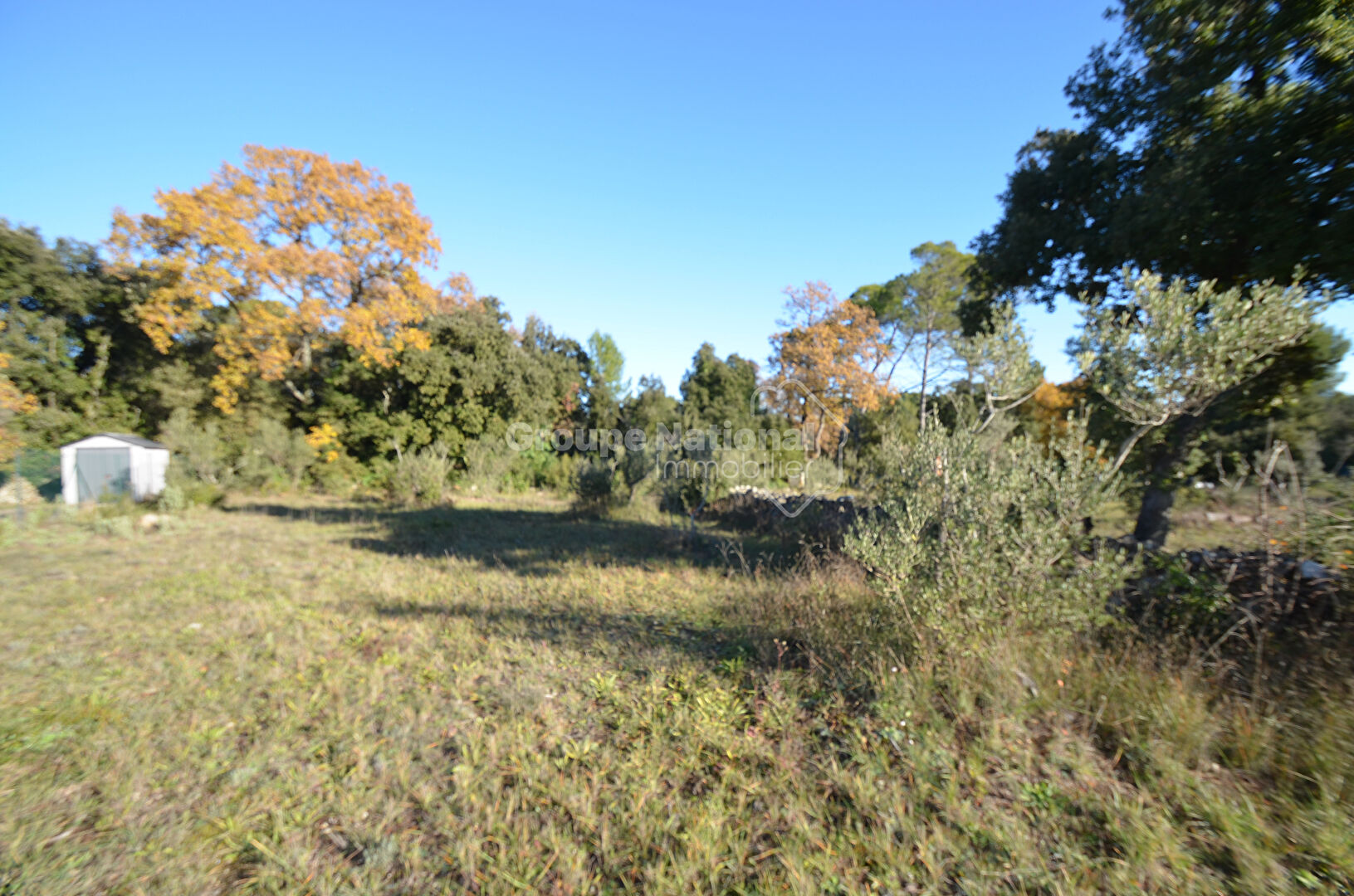 Agence immobilière de Baubaut Immobilier