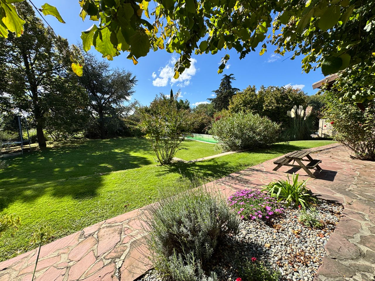 Photo Maison Pibrac 6 pièces 203 m2 image 6/6