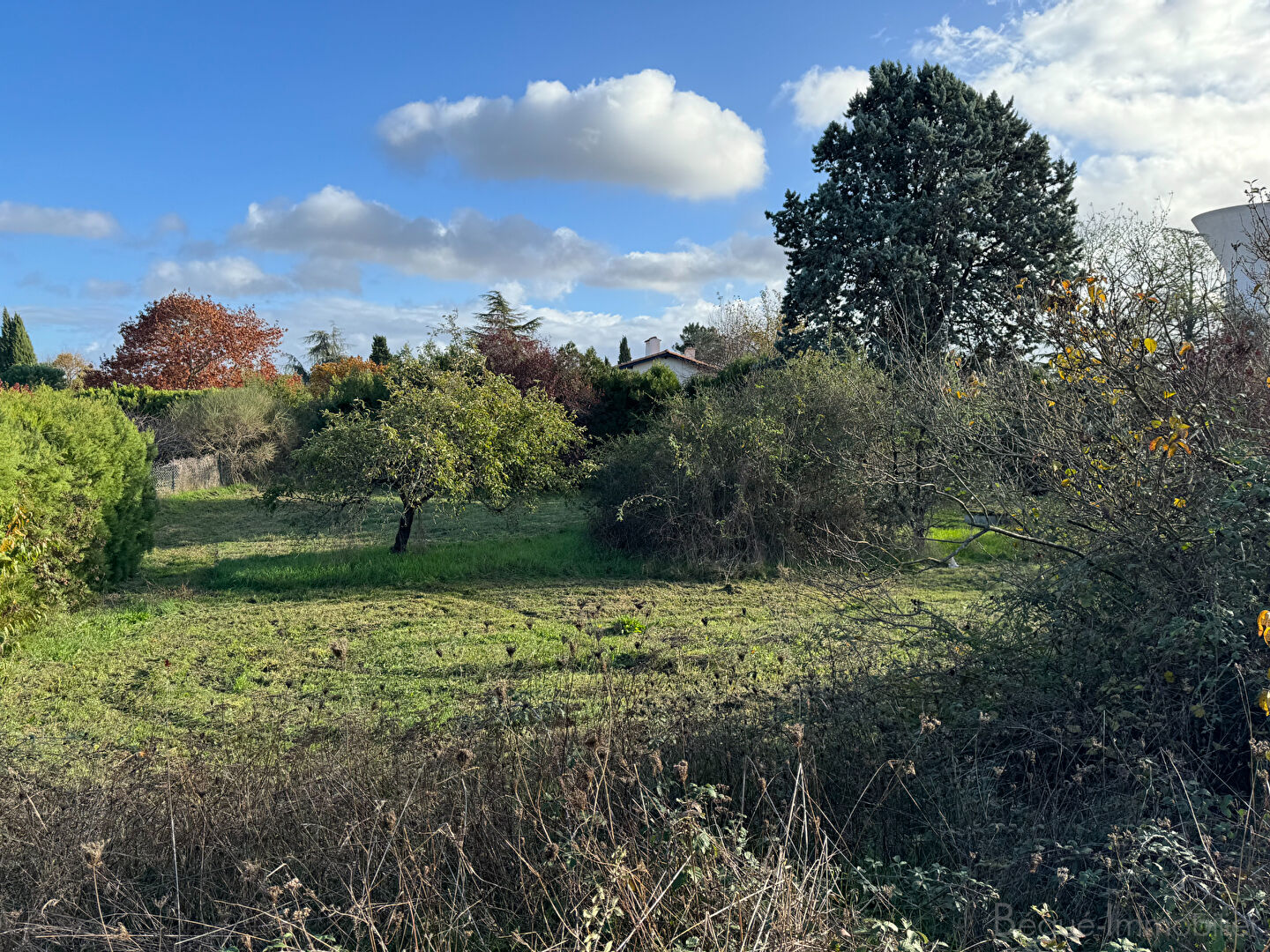 Photo Maison de plain pied T5 sur 2345 m² de terrain - quartier résidentiel recherché proche des écoles a pied image 5/6